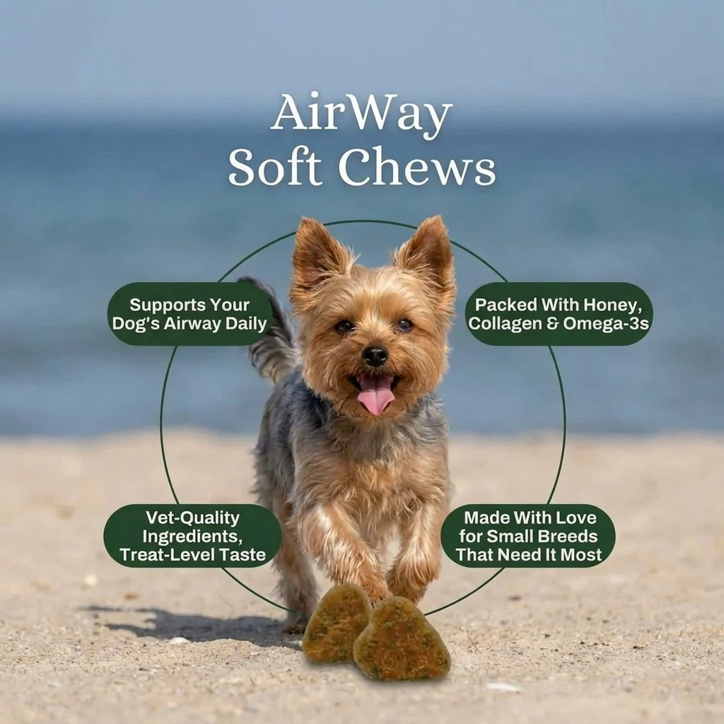 Daily airway support for small breeds — honey, collagen and omega-3s